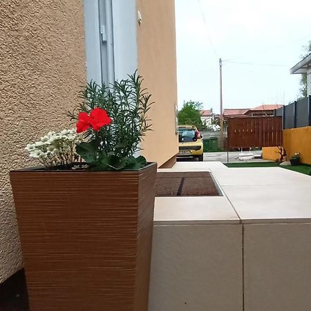 Apartman Sandra -Private Parking And Garden Zadar Exteriör bild