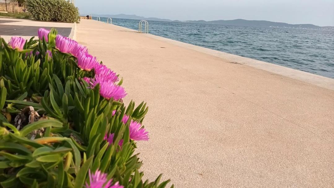Apartman Sandra -Private Parking And Garden Zadar Exteriör bild